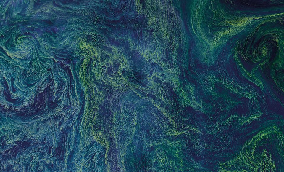 Baltic Algae Bloom ©uponwalls + Dailyoverview