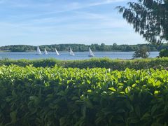 I slutningen af august afholdes den internationale kapsejlads Guldborgsund Baltic Race i farvandet omkring Lolland-Falster. Foto: Guldborgsund Kommune