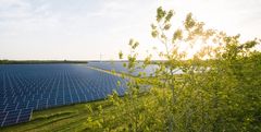 Industriens Pension har betydelige investeringer i vedvarende energi som eksempelvis danske og polske solcelleparker. Foto: Better Energy.