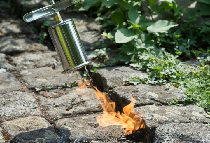 Ukrudtsbrændere er hvert år årsag til et stort antal brande. Efter en meget tør maj måned opfordrer forsikringsselskab til meget forsigtig brug af brænderne. (Foto: iStock).