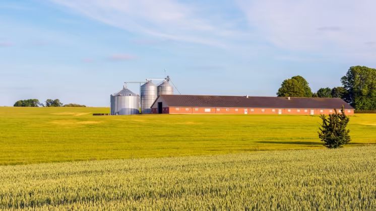 Forpagtninger vinder frem – priserne holder sig i ro