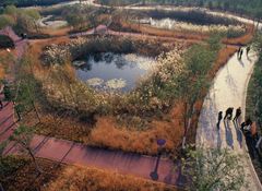 Tianjin Qiaoyuan Wetland Park. 
Et tidligere stærkt forurenet sted blev restaureret
med vådområdevegetation for at rense saltvand-
alkalisk jord. Brugen af ​​lokal vegetation gav mulighed for flere økosystemer og lav vedligeholdelse. Parken beskytter miljø og natur ved at opbevare og rense regnvand og ved at forbedre jorden, mens den 
også giver mulighed for at lære mere om miljøet. Tianjin, Kina. 
Designer: Turenscape
Kunde: Environment Construction and Investment Co., Ltd, Tianjin City. Foto: Turenscape