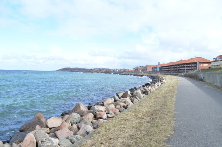 Nørrekås i Rønne som kyststrækningen ser ud i dag. En ny strandpark skal sikre kysten mod erosion. Foto: Sweco