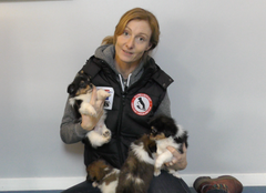 Dyreværnets direktør, Rikke Christensen-Lee advarer mod køb af ulovligt importerede hunde: KØB DANSK opfordrer hun til. Fotocredit: Dyreværnet