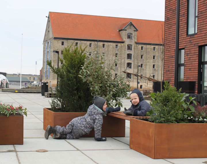 På Christianshavn skaber plantekummerne Land Modern et grønt miljø på det grå fortov. Foto: PR.