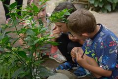 Science Museerne håber, at børnefamilierne vil gå nysgerrigt og sansende til værks med ScienceTakeaway og opleve en masse planter, stjerner og små teknologiske eksperimenter i sommerlandet