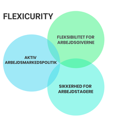 flexicurity