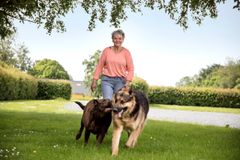 Sonja Thomsen har tabt 100 procent af sin overvægt og nyder at kunne gå lange ture med sine hunde – en kraftanstrengelse, hun ikke kunne overkomme før operationen. Foto: PR.