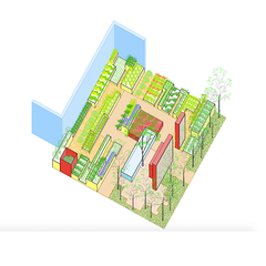 Tegning af showhaven "Køkkenhave med kant", der er designet af Louise Risør og Jacob Fischer