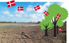 Søer, legeplads og 70.000 træer udgør fra 13. juni Guldborgsund Kommunes største folkeskov. Foto: Guldborgsund Kommune