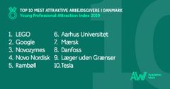 YPAI 2019-rapporten indeholder for første gang en oversigt over 50 virksomheder, som young professionals finder mest attraktive. Foto: Academic Work Denmark.