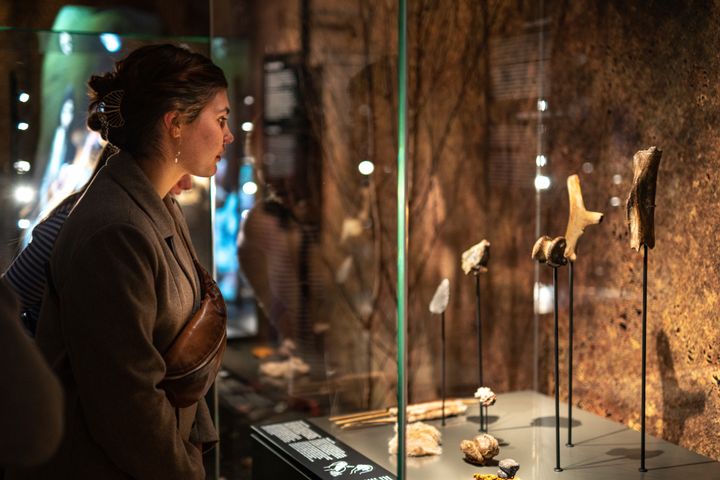Museets særudstilling Neandertaler har tiltrukket et meget stort publikum. Foto Frederik Nesbith Wolff