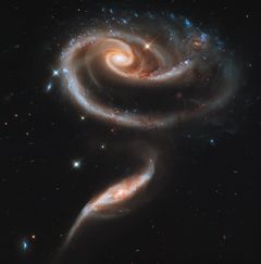 Når galakser kommer i nærkontakt kan gas rejse i mellem dem og fodre galaksernes centrale sorte huller. Her er en galaktisk interaktion, arp273, der har fået kælenavnet "Rose-galakserne" Billede: NASA, ESA, og The Hubble Heritage Team