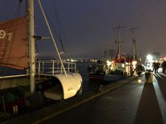 En række fartøjer var sejlet til medlemsmødet og lagde til kaj i Aalborg. Foto: Helle Kristensen