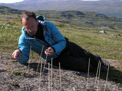 I en periode var Rasmus Ejrnæs videnskabelig leder for Arktisk Station ved Københavns Universitet. Grønland er derfor ikke et fremmed sted for ham. Her studerer han vegetationen deroppe. Foto: Rasmus Ejrnæs