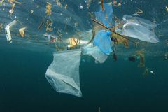 Alt for meget plastik ender i verdenshavene. Her ligger det i flere hundrede år og skader natur og dyr. Foto: WWF