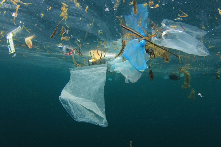 Alt for meget plastik ender i verdenshavene. Her ligger det i flere hundrede år og skader natur og dyr. Foto: WWF