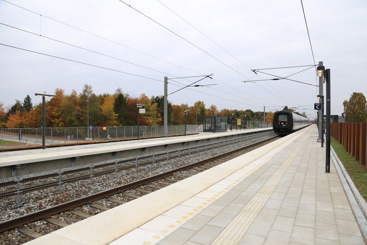 Foto: Kåre Thor Olsen