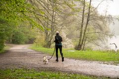 Canicross er populært i mange lande. Sporten er dog ikke udbredt i Danmark, men det vil Virbac lave om på med lokale hundeløbeklubber. (Foto: PR)