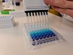 Cysbios fermenteringsteknologi rummer et enormt potentiale og markedsperspektiv for storproduktion af ellers svært producerbare kemikalier som aminosyrer og ålegræssyre. Foto: Cysbio ApS.