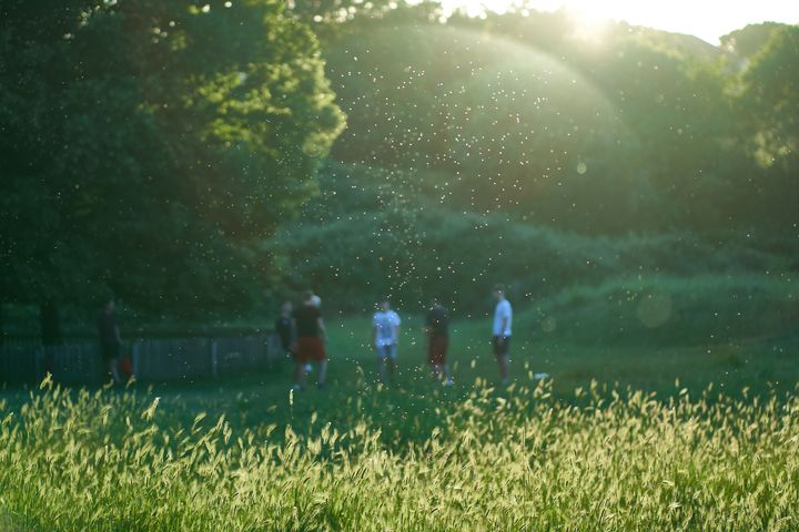 Foto: Astma-Allergi Danmark