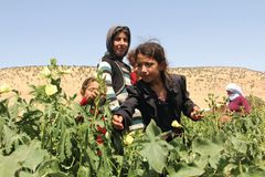 Selvom situationen på Sinjarbjerget har bølget frem og tilbage gennem årene, er Mission Øst blevet i området med både nødhjælp og udvikling. Foto: Mission Øst