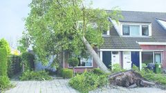 ”VEJR” AT HUSKE: Med efterårets komme stiger risikoen for de store vejrskader. Med få og simple midler kan man imidlertid undgå de værste skader på boligen. (Foto: Colourbox)
