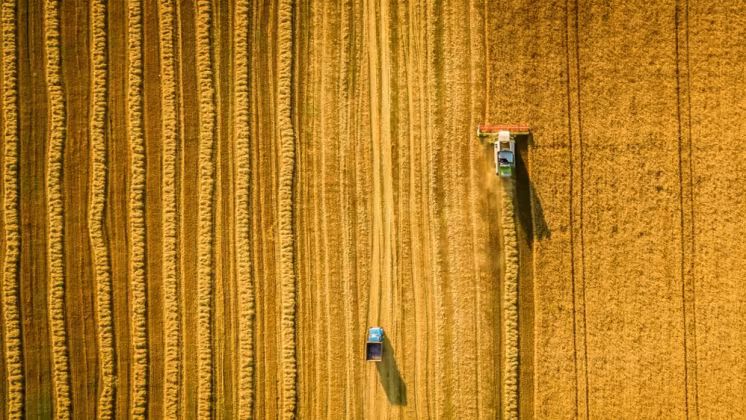 Rekordhøst er nærmest en 100-årshændelse