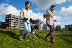 For nogle er turen med hunden en dejlig pause. For andre handler turen mere om sundhed. Forskerne undersøger bl.a. vores motivation til forskellige former for bevægelse. Foto: Jens Astrup.