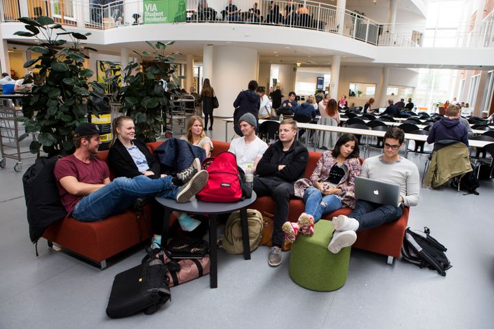 Det er første gang, at VIA afvikler ’Projektdag for hf-elever’ på VIA University College i Horsens.