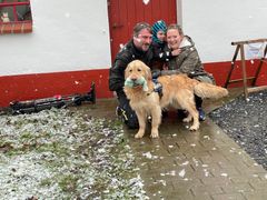 Den sidste af de 17 golden retrievere der har boet på Brande internat er nu rejst ud i et nyt hjem. Da familien hentede hunden Jason, havde familiens søn Lau, på 4 år, en bamse med fra sin egen samling, som gave til det nye familiemedlem. Her ses familien med Jason og bamsen. Foto: Dyrenes Beskyttelse. Til fri afbenyttelse.