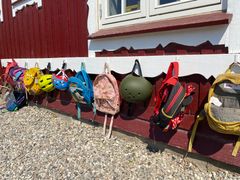 TRAFIKSIKKER, NATURLIGVIS: Trafiksikkerhed og bevægelse er en ganske naturlig del af hverdagen på den midtsjællandske skovbørnehave. (Foto: Pernille Andersen)