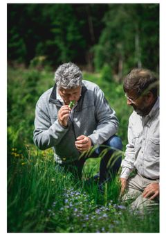 De naturlige ingredienser i Wild Biotic er udvundet i et økosystem i de franske alper, langt fra industrikvarterer og forurening. Foto: PR.