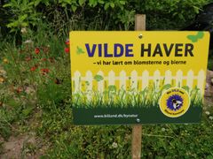 Giv plads til vilde blomster og smådyr i din have og få til gengæld et flot skilt fra Billund Kommune.