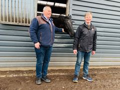 Passionen for heste forener auktionarius Finn Campen (tv.) og stutteriejer Morten Skov (th.), der samarbejder om den store hesteauktion på nettet.