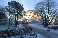 Kom ind i Tropehuset og mærk den ægte varme julestemning. Foto: Science Museerne, Aarhus Universitet