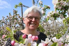 Kirsten Rohde Jensen har omkring 3000 blomstrende æbletræer i sin plantage. Fotograf Benny Gade