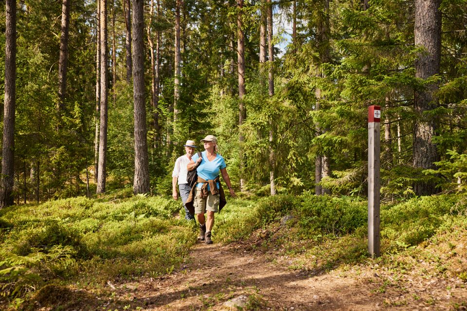 Pilgrimsleden ved Hallsdammen. Foto: Jonas Ingman 