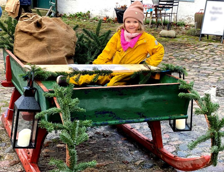 Der skal ikke meget fantasi til forestille sig en ægte gammeldags kanetur med bjældeklang og fart over feltet, når man som Elin her har sat sig godt tilrette i den gamle kane. Skal det hellere gå fremad i virkeligheden, kan man tage sig en hestevognstur gennem byens gader. Foto: Jakob Caspersen /ROMU