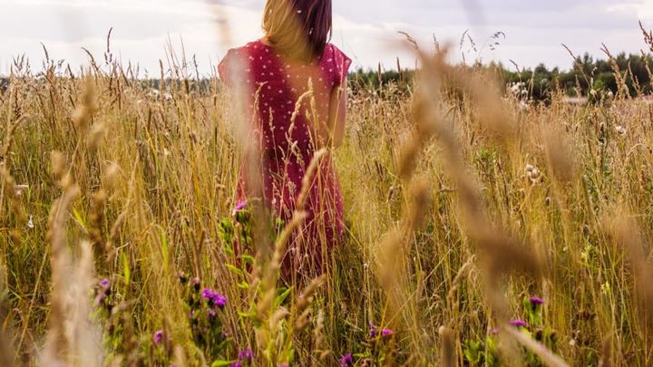 Krüger og medarbejdere vil sikre minimum 1000m2 vild natur via donation til indsatsen "Danmark redder jord"