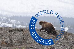 19 dyrevelfærdsorganisationer er gået sammen om at danne World Federation for Animals – en international dyrevelfærdsorganisation, der vil tale dyrenes sag på globalt niveau.  Foto: World Federation For Animals. Til fri afbenyttelse.