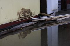 Typisk billede af skimmelsvamp efter vandskade
