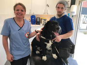 Nicky og hans hund King har fået hjælp af Frynseklinikken. Her ses de sammen med dyrlæge Pia Nielsen. Foto: Dyreværnet
