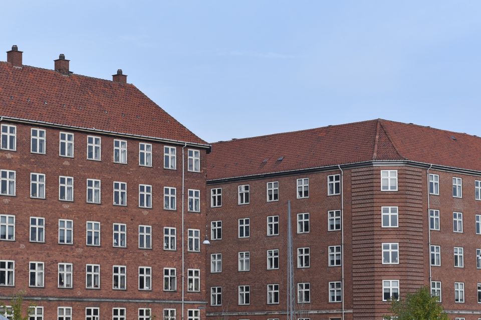 DSC_6737_David_Buchmann .jpg