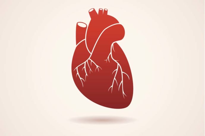 uden hjertestop: Hjerteforeningen støtter vigtig forskning | Hjerteforeningen