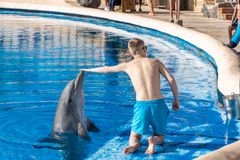 Sådan skal man ikke opleve delfiner. I Aqualand på Tenerife betaler publikum for nærkontakt og selfies med de tæmmede vilde dyr. Foto til fri afbenyttelse med kreditering: Tom Svensson/World Animal Protection