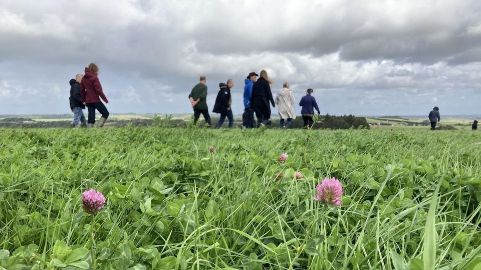 Biodiversitet i landbruget.jpg