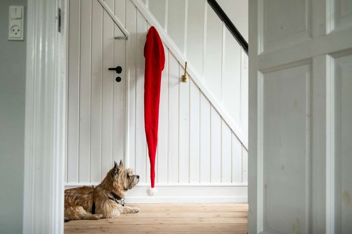 Venter på gæsterne... og der kommer flere til juleaften i år, viser en spørgeundersøgelse fra Home og YouGov om danskernes planer. Foto: Home