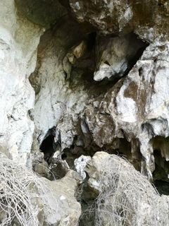 Cobra-hulen i det nordlige Laos. Foto: Fabrice Demeter.