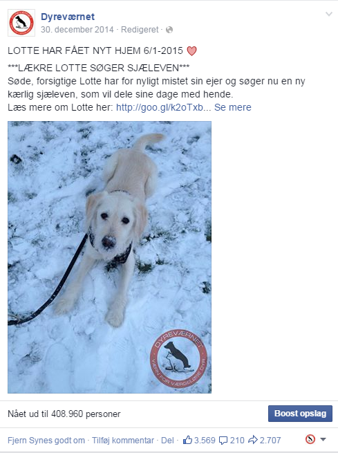 Flere end 400.000 så opslaget med hunden Lotte, der søgte ny familie. Foto: Screendump fra facebook
